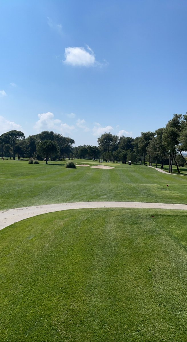 F3RRARI 🌑 tweet media