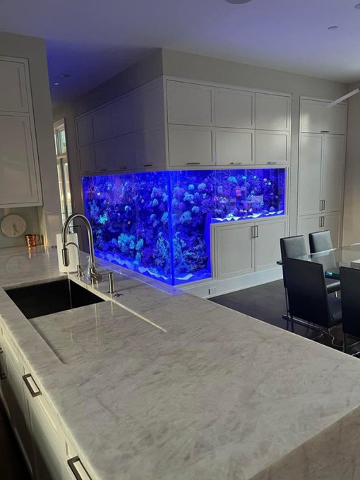 Mentally I&rsquo;m here 🧠 https://t.co/7IG7DDHlqv