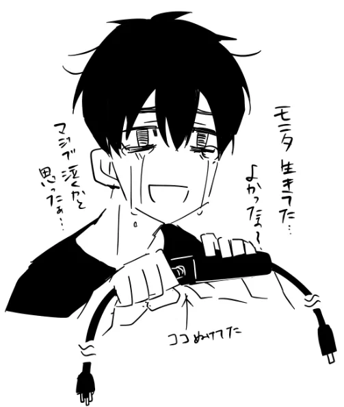 PCモニタ電源すら入らなくてあちこち確認したのにダメだったから壊れたかと思って本気で焦ったけど、途中のプラグ抜けてるだけだった…よかった…掃除した時に多分抜けた…よかった…🥹 
