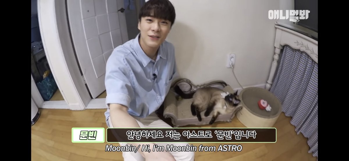 민석🌻🐶👑🌙🐥🌕 tweet media