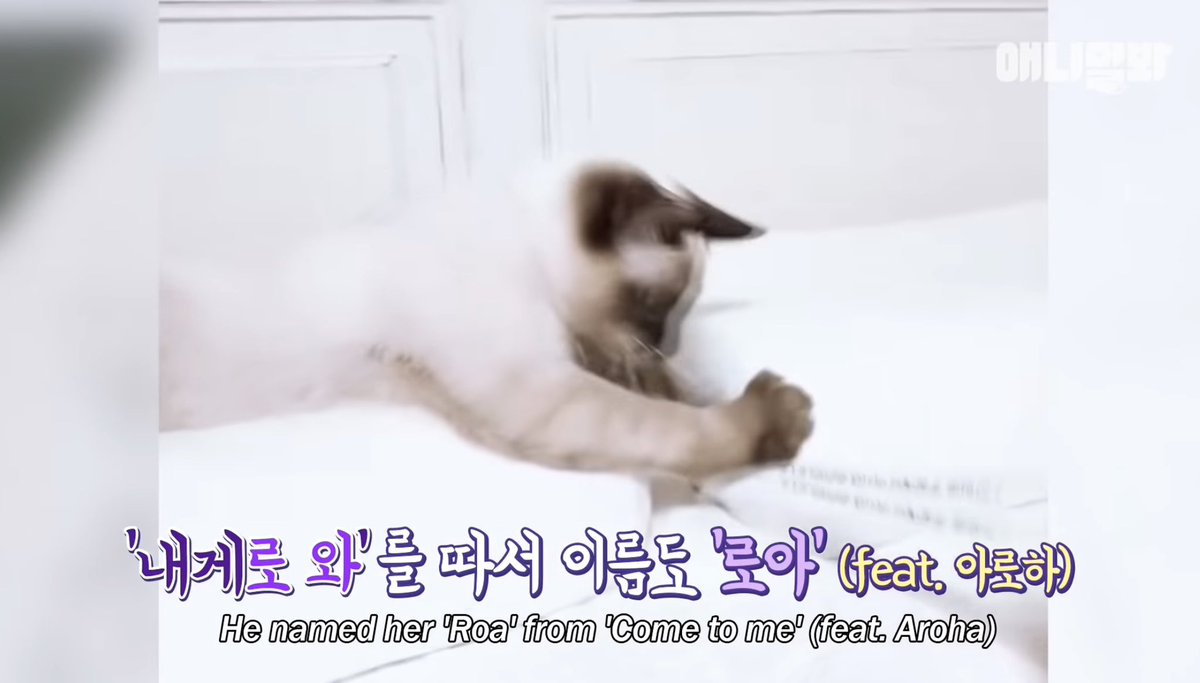 민석🌻🐶👑🌙🐥🌕 tweet media