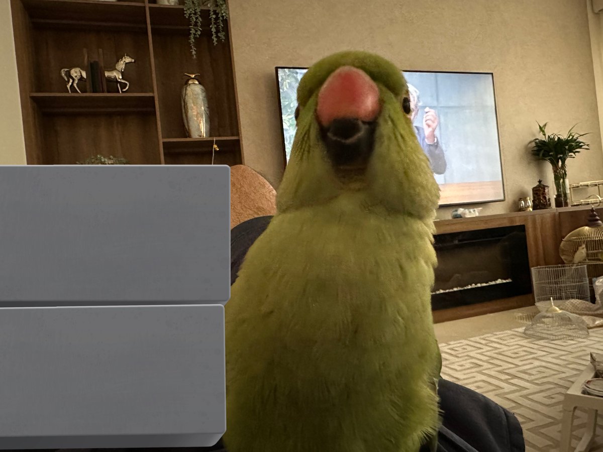 ここに書かれていることを知りたいかどうか私に尋ねてください tweet media