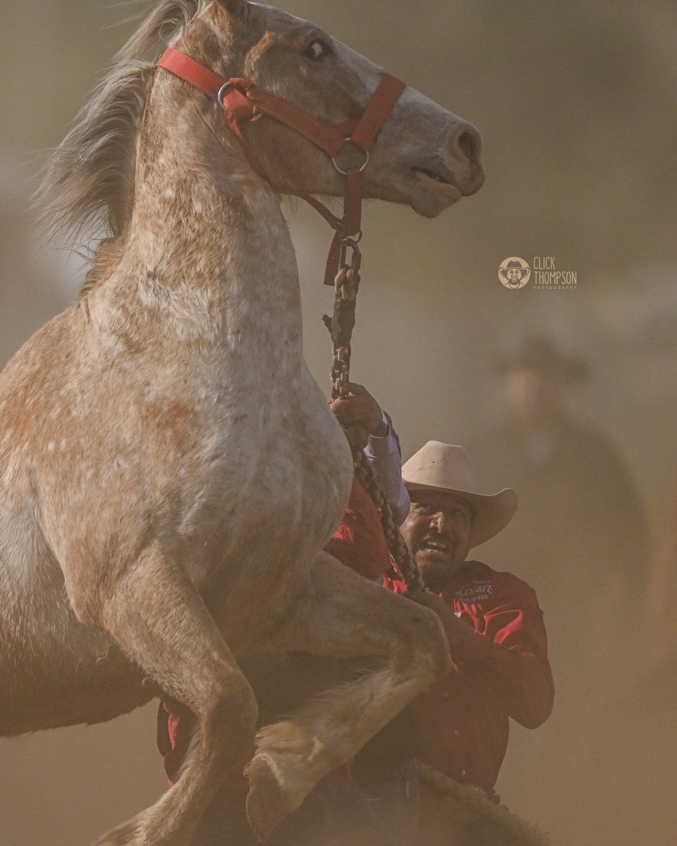 ClickThompson's tweet image. I’m fine, we’re fine… #clickthompsonphotography