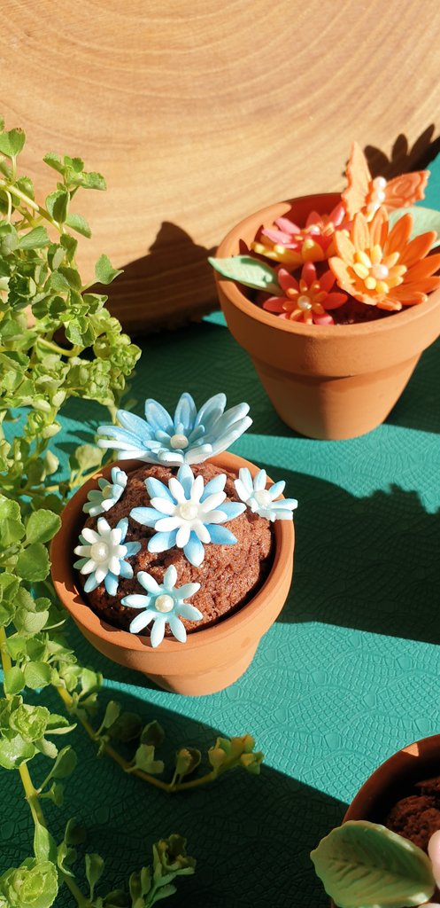 Daiyame's tweet image. Have a few more pictures and a bit of work in progress for these. 😌
(Also  the photos without direct sunlight. 🌥)
#KitchenStuff