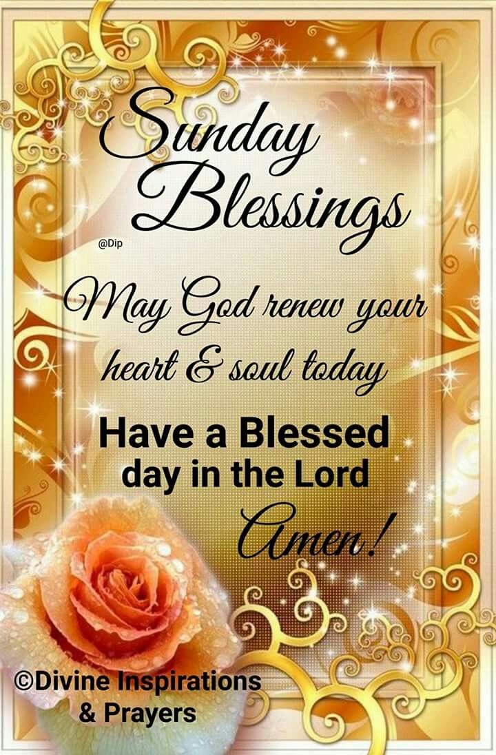 dassy_rina's tweet photo. AS THE RAIN ALWAYS GIVES RELIEF TO THE EARTH AFTER IT'S DUTY, SO SHALL THE PEACE OF GOD BE WITH ME THIS WEEK.  GOD WILL BLESS ME, BLESS MY EFFORTS, BLESS MY SOUL,BLESS  MY DAY, BLESS MY GOING OUT AND COMING IN,BLESS MY FINANCIALS,  AND BLESS EVERYTHING CONNECTED TO ME. AS I https://t.co/NcYYmUn03k