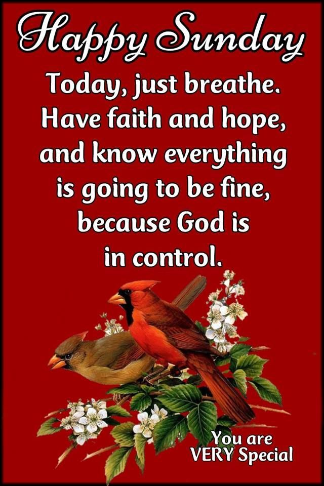 dassy_rina's tweet photo. AS THE RAIN ALWAYS GIVES RELIEF TO THE EARTH AFTER IT'S DUTY, SO SHALL THE PEACE OF GOD BE WITH ME THIS WEEK.  GOD WILL BLESS ME, BLESS MY EFFORTS, BLESS MY SOUL,BLESS  MY DAY, BLESS MY GOING OUT AND COMING IN,BLESS MY FINANCIALS,  AND BLESS EVERYTHING CONNECTED TO ME. AS I https://t.co/NcYYmUn03k