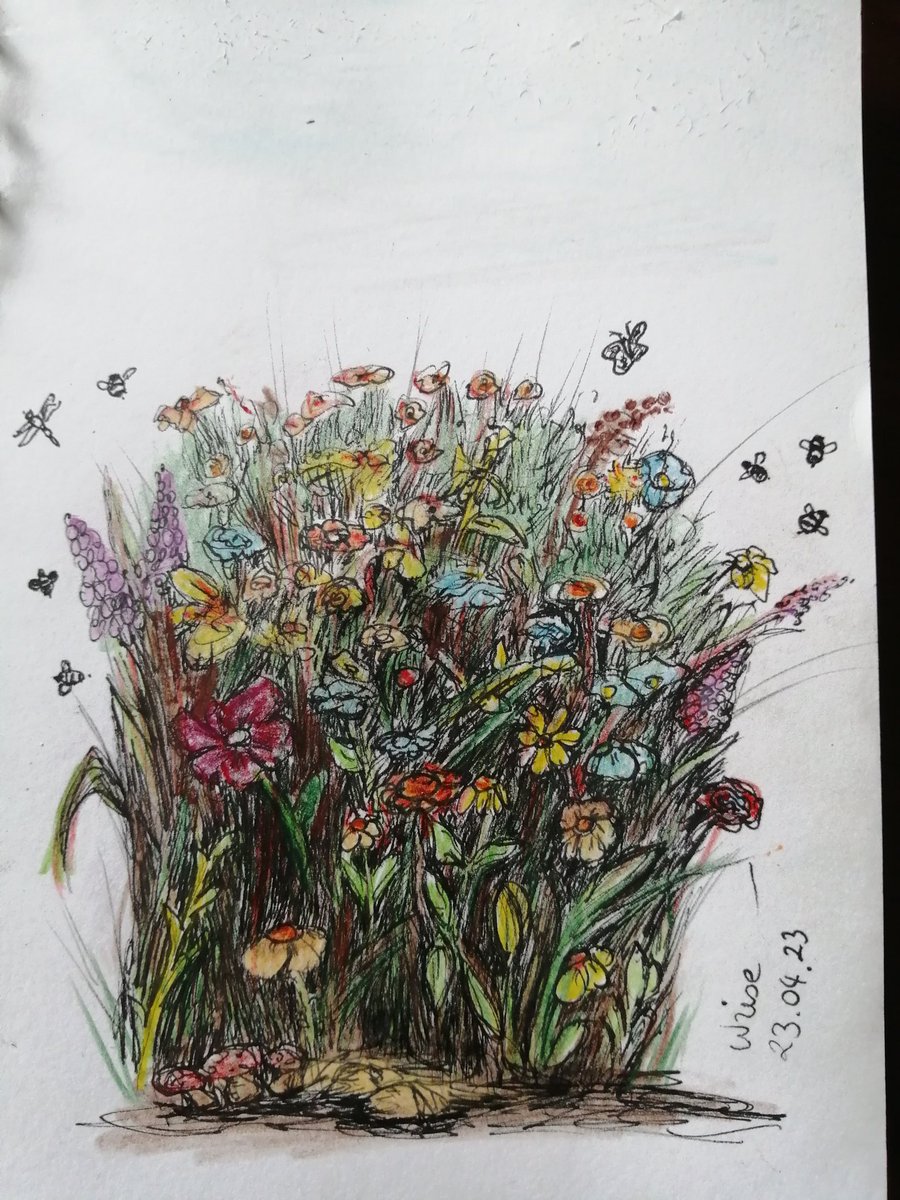 #kleinekunstklasse #doodleish

Heute ein paar Wiesenblumen, passend zum schönen Wetter.