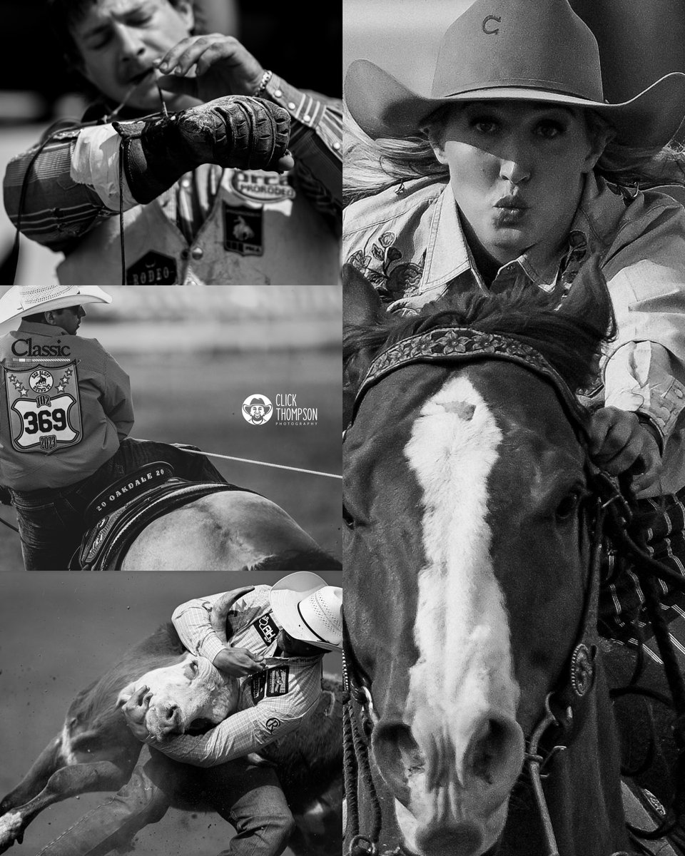 ClickThompson's tweet image. Views… #clickthompsonphotography