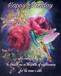 Hummingbird lover usa (@hummingbirdlo14) on Twitter photo 