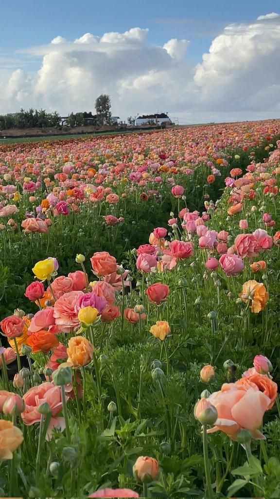 ͏

͏

͏

͏

͏

͏

͏

͏

͏

͏

͏

͏

͏

͏

͏

͏

͏

͏

͏

͏

͏

͏

͏

͏

͏
͏

͏

͏

͏

͏

͏

͏

͏

͏

͏

͏

͏

͏

͏

͏

͏

͏

͏

͏

͏

͏

͏

͏

͏

͏

͏

͏

͏

͏

͏

͏

͏

͏

͏

͏

͏

͏

͏

͏

͏

͏

͏

͏

͏

͏

͏

͏

͏

͏
͏

͏

͏

͏

͏

͏

͏

͏

͏

͏