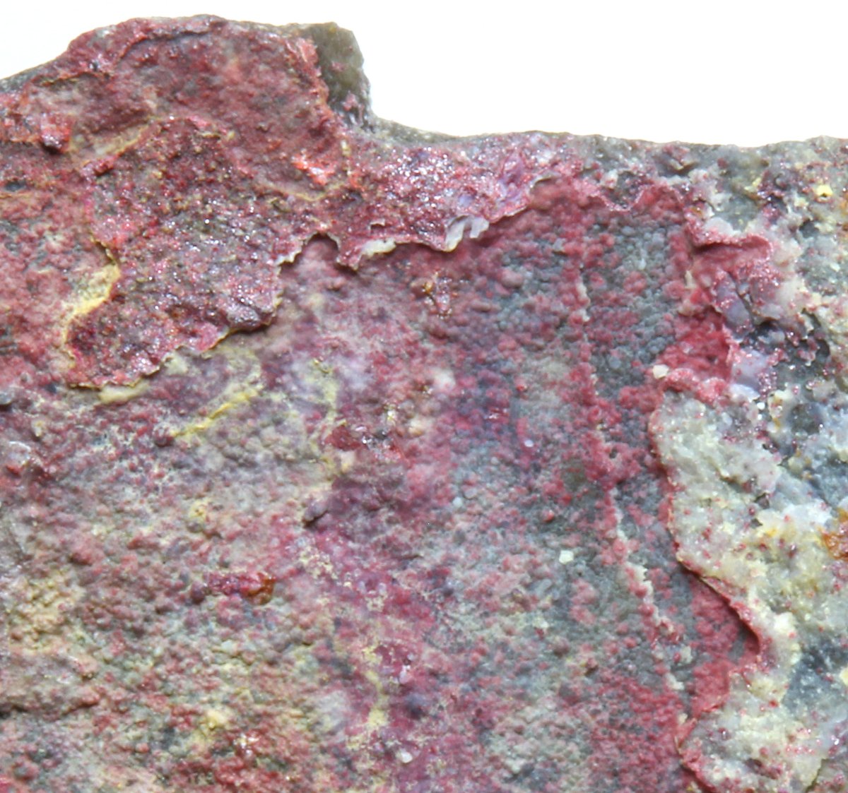 A_Zearth's tweet photo. 別標本ですが破面と空隙部分の対比。

瓜幕鉱山は昭和12年頃の発見といわれ、終戦間際の2年間と昭和20～30年代も休山と再開を繰り返しつつ稼働したと資料にあります。生産量は粗鉱で4300トン余りと蝦夷地では中堅規模のHg山でしょうかね。 https://t.co/zxAFSyt5et