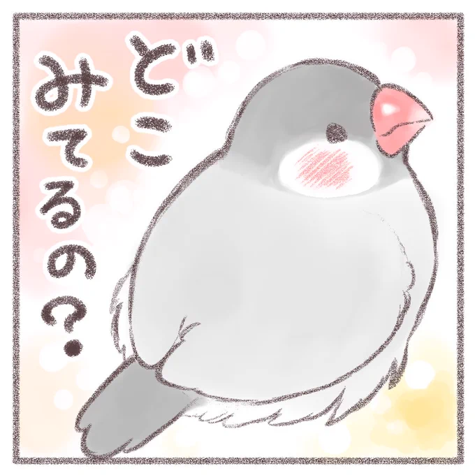 かいぬし、どこみてるの?

① おチリ
② えんがわ
③ ぜんぶ

#文鳥 #cuteanimals 