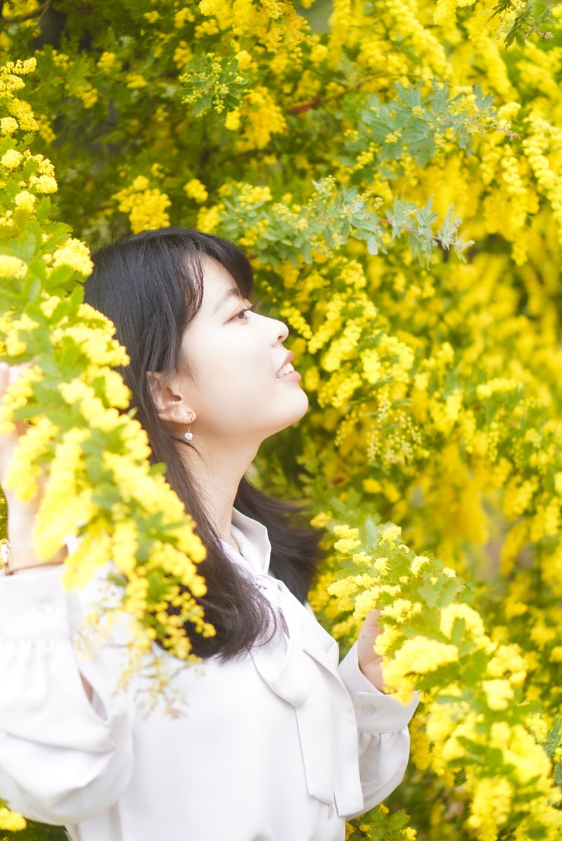 HyoRyo's tweet photo. 久しぶりの写真投稿はミモザから

#カメラサークル #写真サークル #ゆるかめ #関西 #大阪 #兵庫県 #京都 #写真好きな人と繫がりたい #写真撮ってる人と繋がりたい #カメラ好きな人と繫がりたい #ポートレート好きな人と繋がりたい #portrait #ポートレート https://t.co/I8x8VD05QU