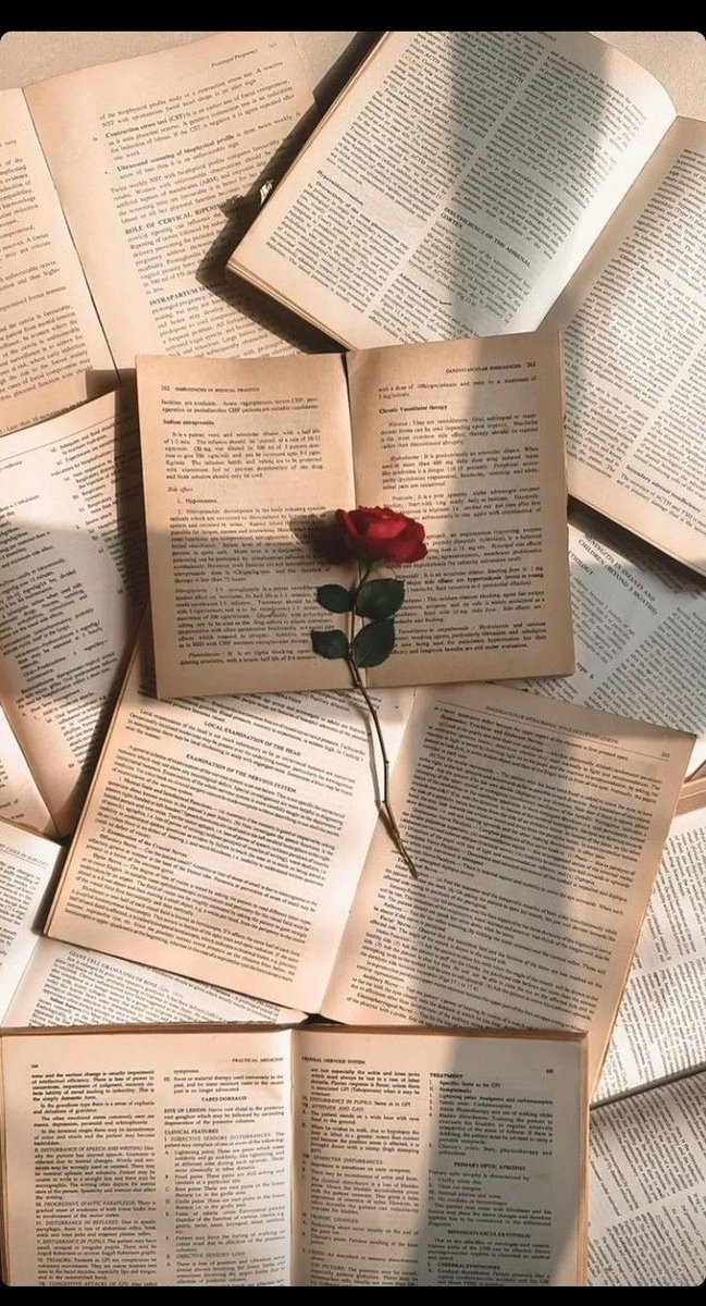 CatarsisLit's tweet photo. ¡Feliz Día del Libro! 📚🌹 https://t.co/i6oSqyJIKr
