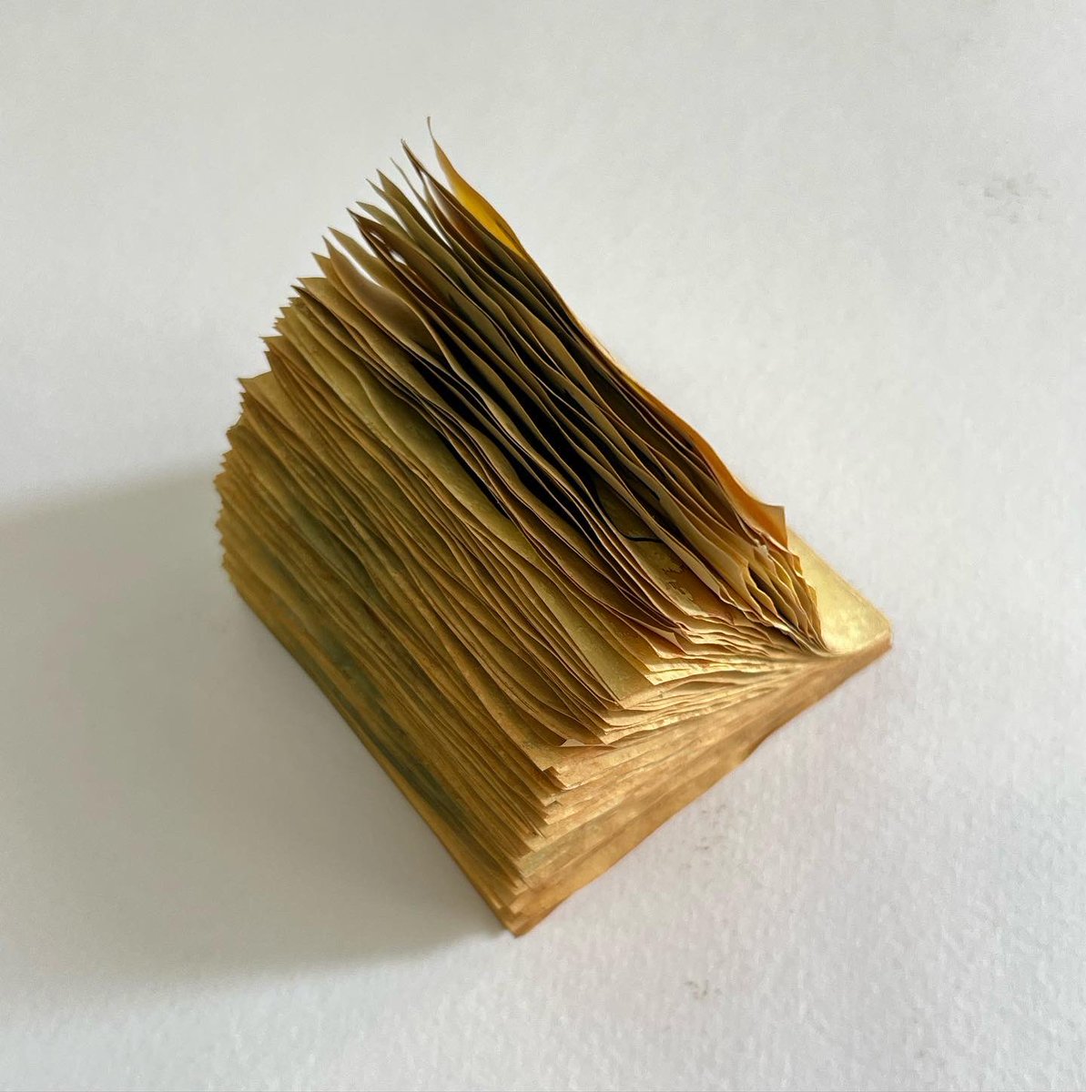 SameerKulavoor tweet media