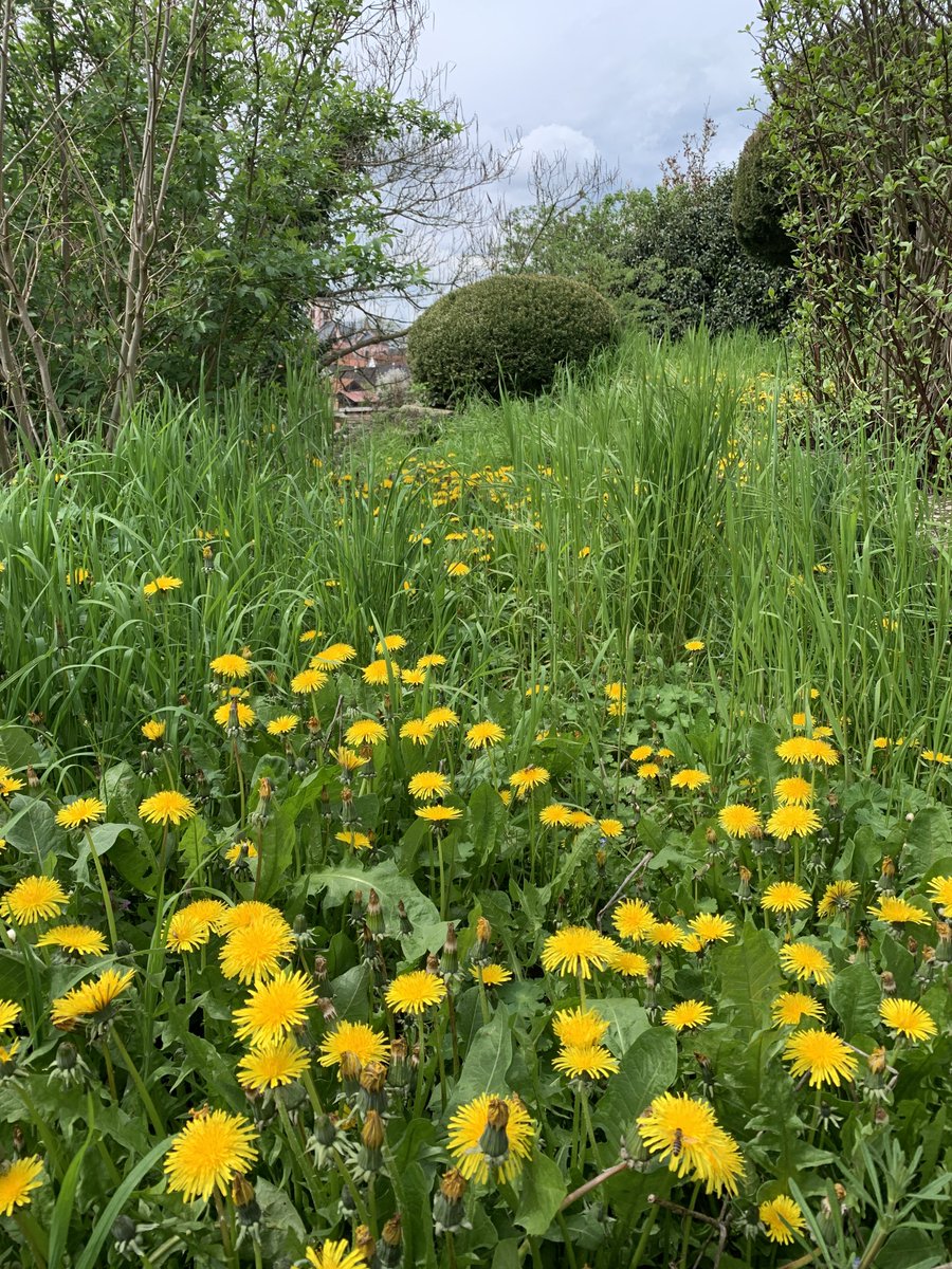 everfresh tweet media