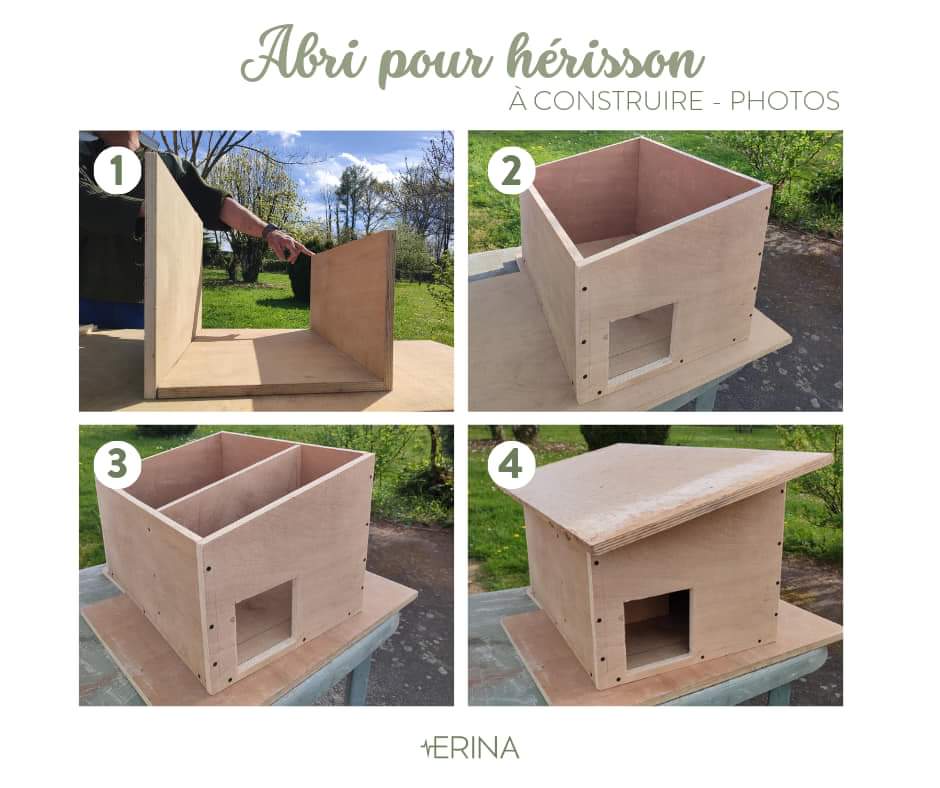 lesptitskipik's tweet image. Fabriquez un abri pour hérisson m.facebook.com/story.php?stor…
#erina #herisson #abri