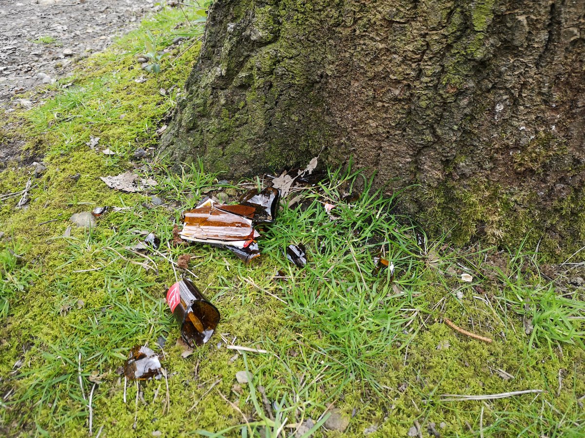 sam clift tweet media