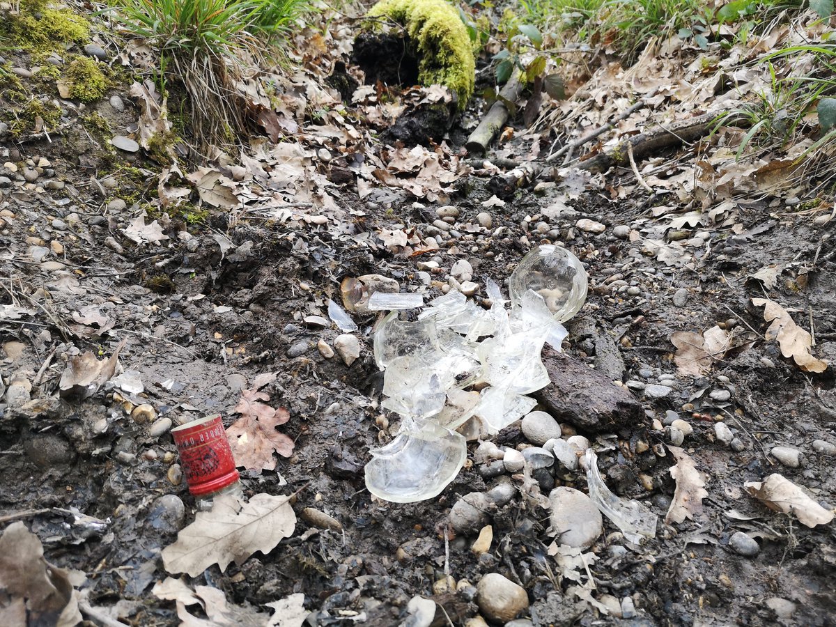 sam clift tweet media