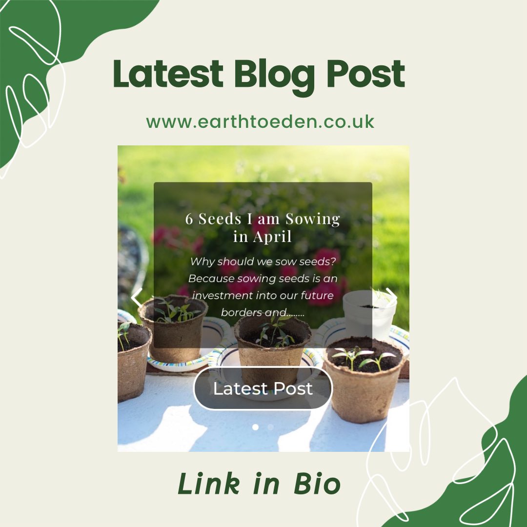 Catch the latest from the blog 📣 Have you gone seed crazy? I have 😂 Read about my thoughts on seed sowing and what seeds I’m sowing at: earthtoeden.co.uk/6-seeds-i-am-s…

#seedsowing #sowingseeds #growyourown #gardenblog #gardeningtips