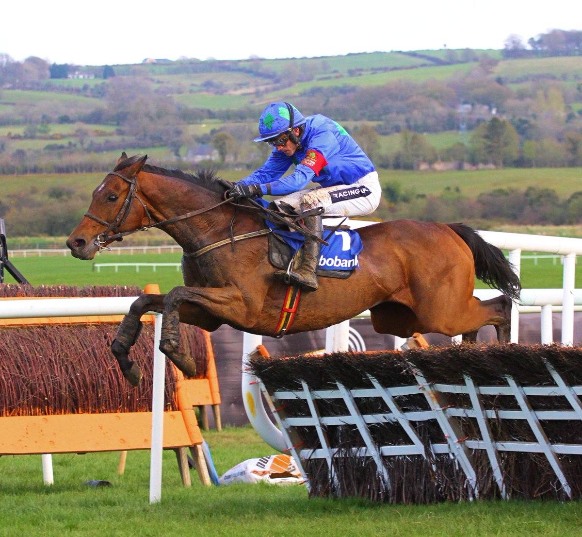 Racing Post tweet media