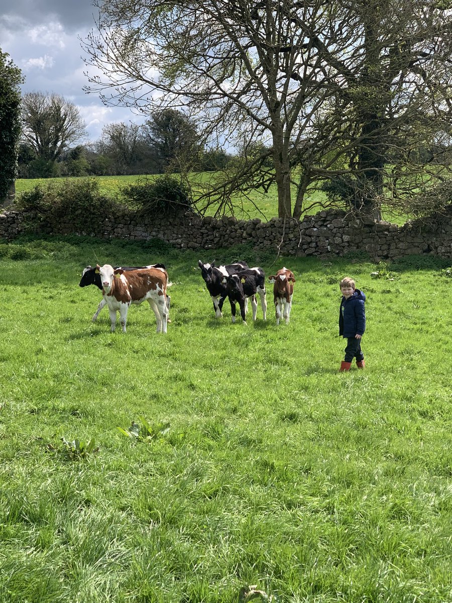 Plenty of help on offer now at the weekend #farminglife