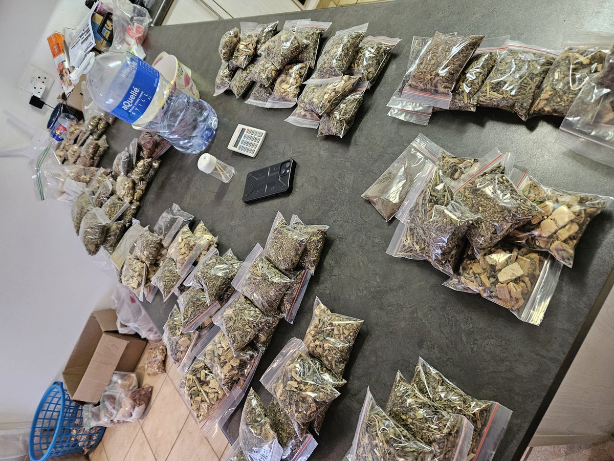 Qokani's tweet image. We thank God for the rain, plants and wisdom. may all the suffering find long term/permanent solutions to their conditions without wasting their hard earned cash, complications nor dire side effects. 

In God we trust, Herbalism is pure and Godly! 🍀💚