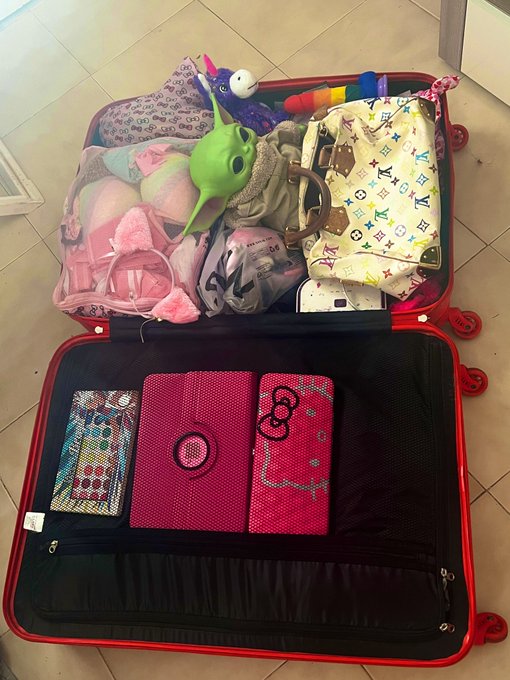 I only pack what is absolutely necessary…. https://t.co/2w8tyjkoTP