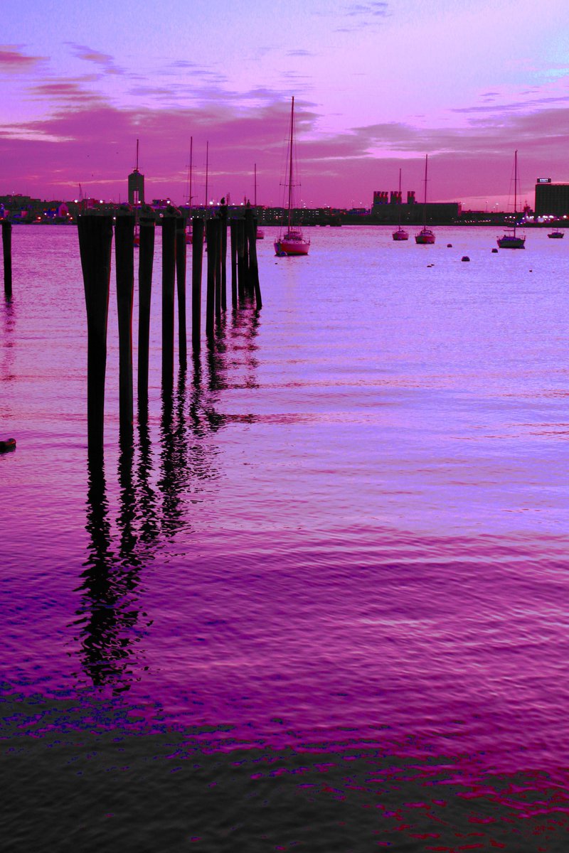 Purple Harbor on @Neonrain_io neonrain.io/explore/ethere…