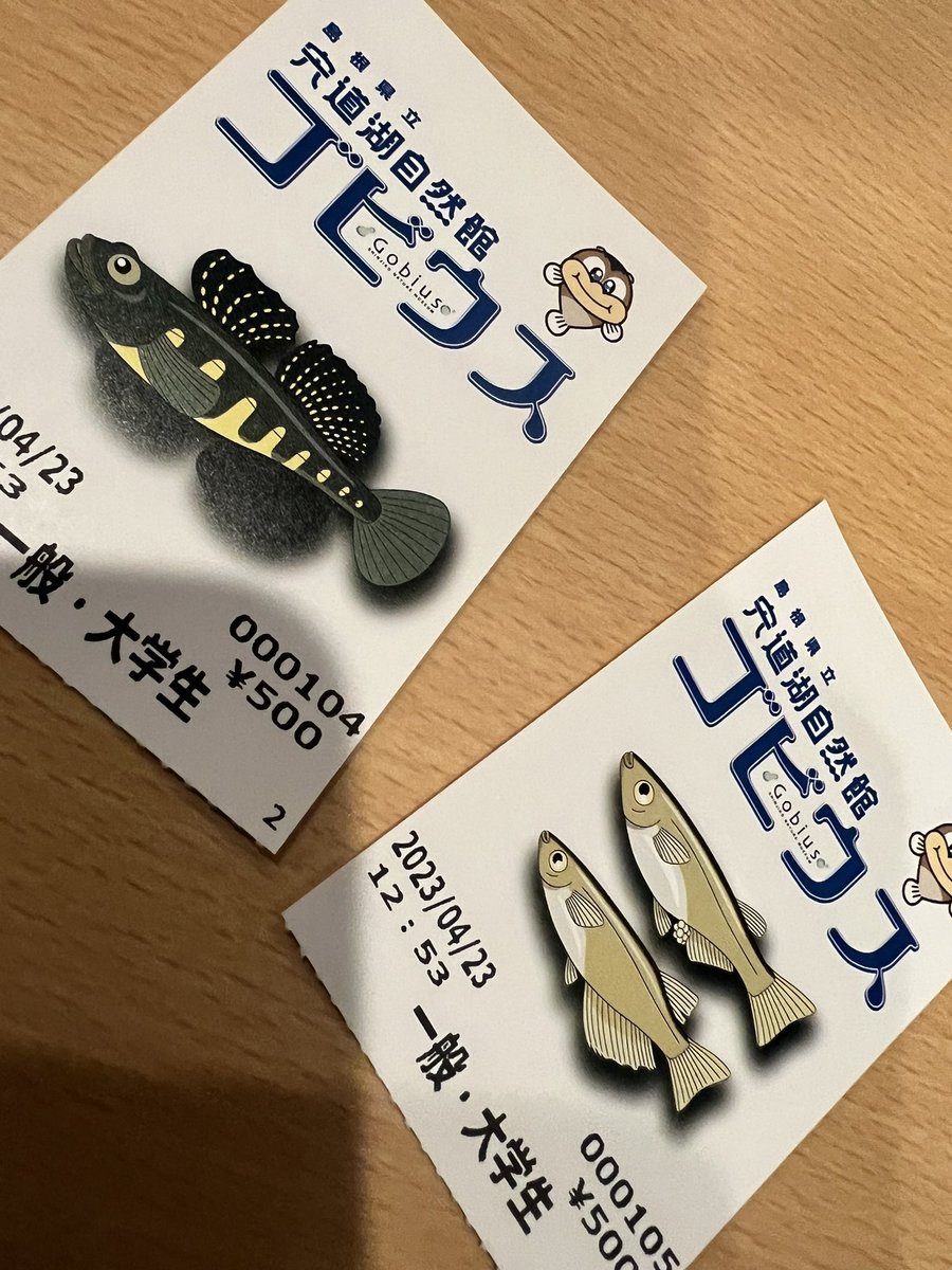 utsk_ma's tweet photo. 宍道湖自然館 GOBIUSにてゴビってきました😆
 #GOBIUS  #シラウオ https://t.co/lIYlHOqpAi