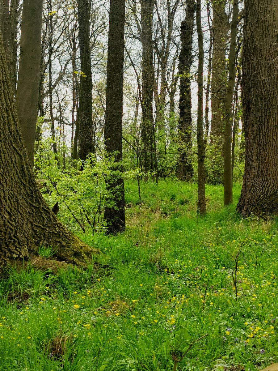 paniEMES's tweet image. Chwilę przed pierwszymi kroplami deszczu...
#po_mojemu
#dwr