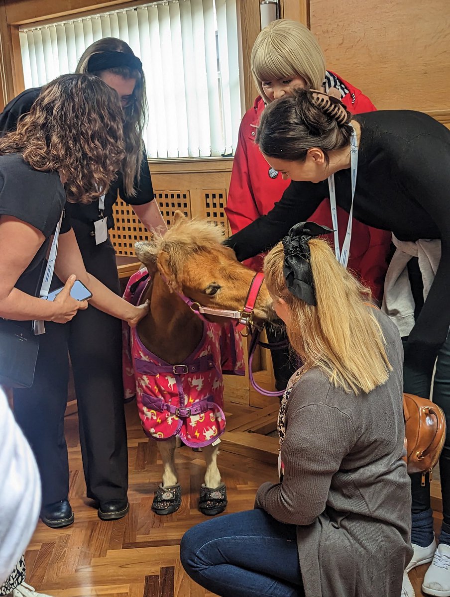 BrendaNeedham tweet media