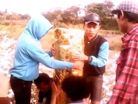 sosmed keras tweet media