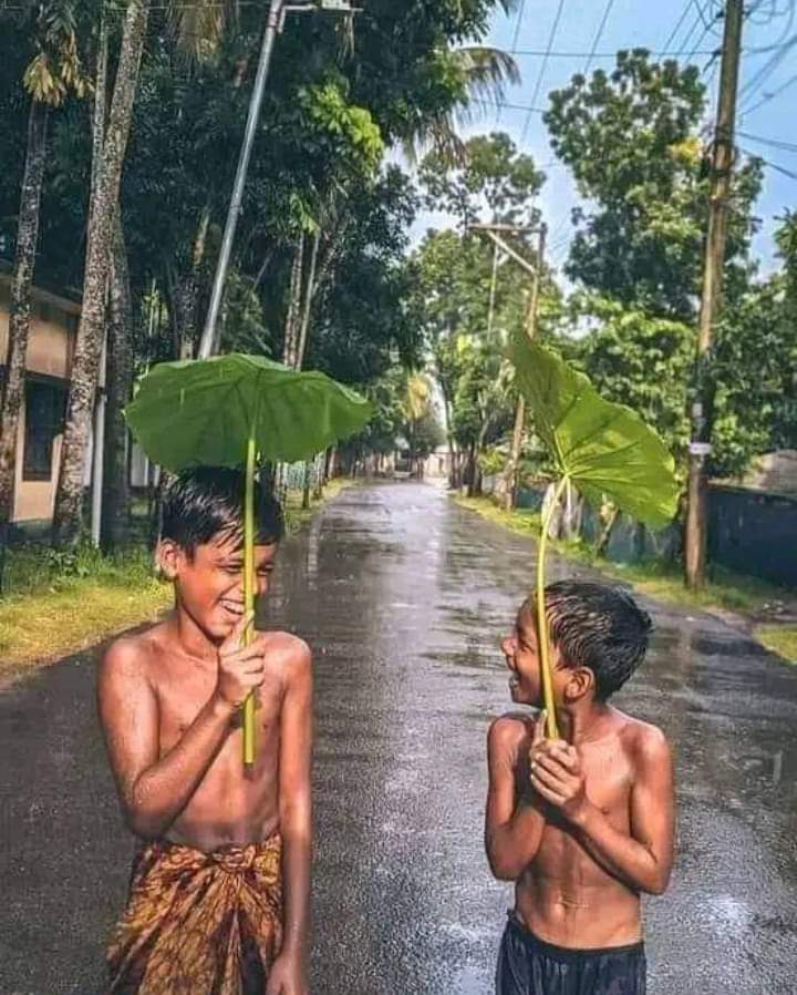 RiponAj's tweet photo. সকাল টা শুরু হোক বৃষ্টি দিয়ে☔🌧️। https://t.co/Fi7ouaYCXt
