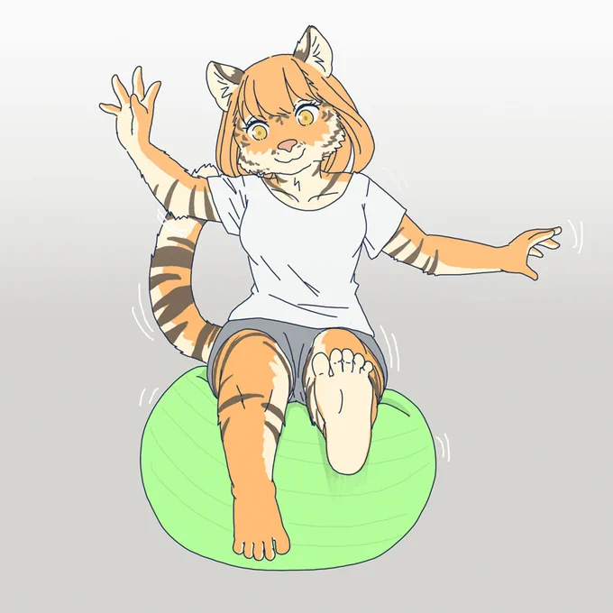 バランスボールをたしなむトラ 