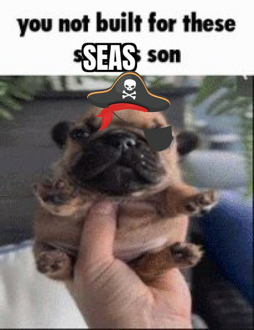pirate_posting's tweet photo. https://t.co/Lmn4Qkega3