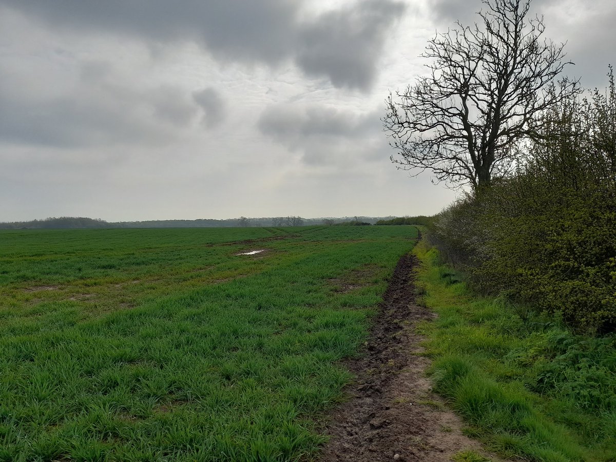 PROT_DISEWORTH's tweet image. Productive wheat fields doing what they should be doing. #selfsustainability #foodpoverty #protectdiseworth 
What say you @EMA_Airport @EMidsFreeport @NWLeics_CEO @LeicsCountyHall are sheds more important?