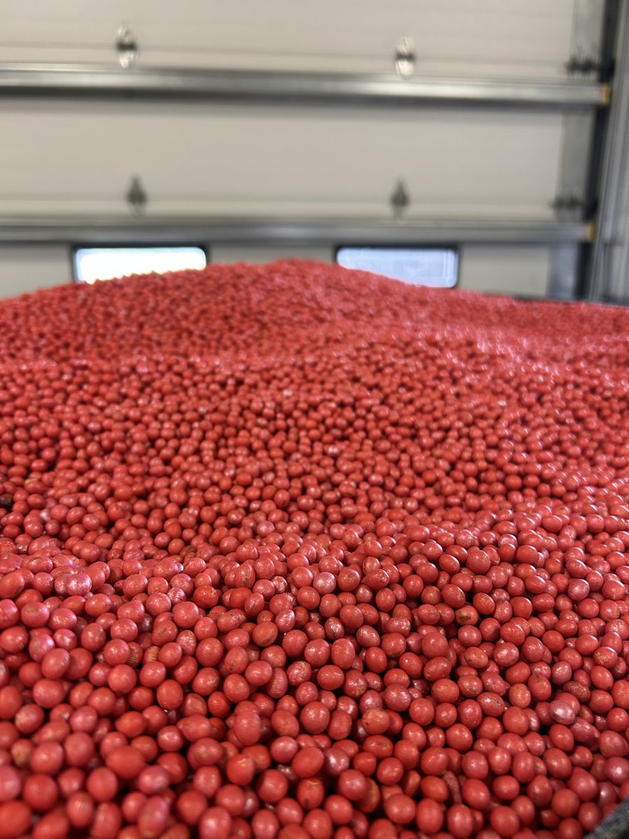 FamilyBenson's tweet photo. Quality means High Yields-Merschman Soybeans treated with StartingLine seed treatment https://t.co/IqWEdz0GgW