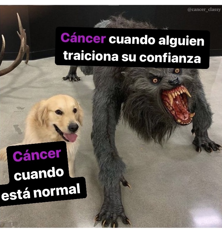 cancer_hn's tweet photo. Puede ser 🤣🤣 #cancer #horoscoponegro https://t.co/qGAcpLYMwj