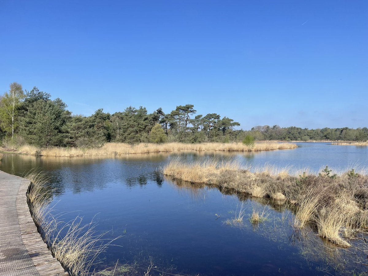 Lente in Twente. #buurserzand