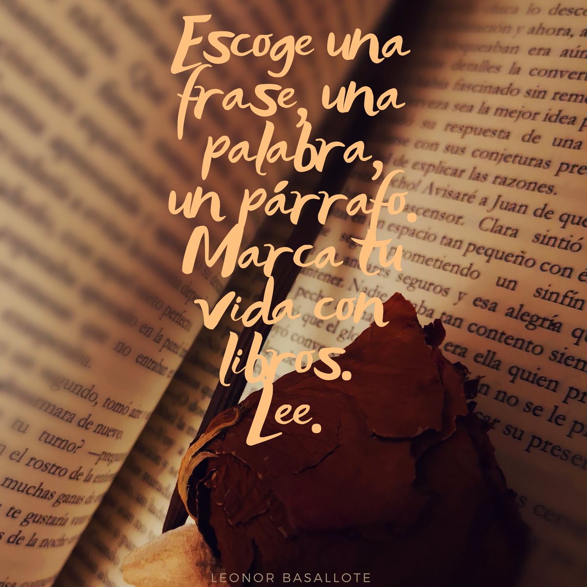 Hoy es un día muy bonito. ❤️📖
¡Feliz día del libro a tod@s!