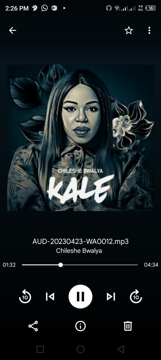 Kale by <a href="/ChilesheBwalya_/">CHILESHE BWALYA</a>     helps me reflect and understand that God has always been intentional in my life, every circumstance is in His plan. It gives me hope that everything will work out for my God 🙏🏾🥺❤️