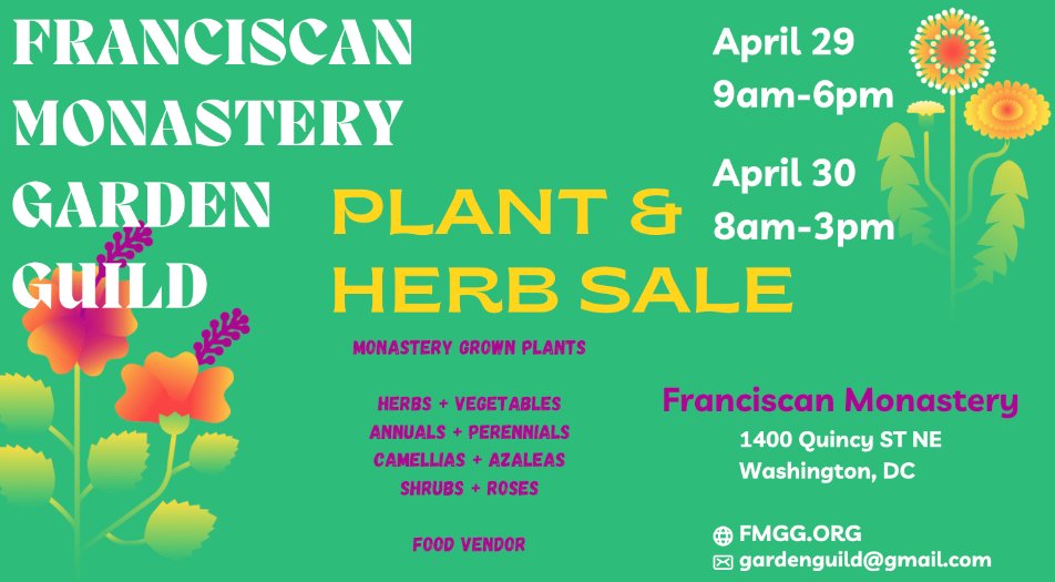 gardenguild's tweet image. 6 Days until the FMGG Plant &amp;amp; Herb Sale!

Sat Apr 29 &amp;amp; Sun Apr 30- 1400 Quincy St NE- free parking or Metro Red Line (Brookland/CUA) to H6   

Herbs, annuals, perennials, vegetables, local honey, Monastery-grown plants

Free Garden Tours on Sat 10 am, 11 am, &amp;amp; 12 pm, &amp;amp; Sun 12 pm