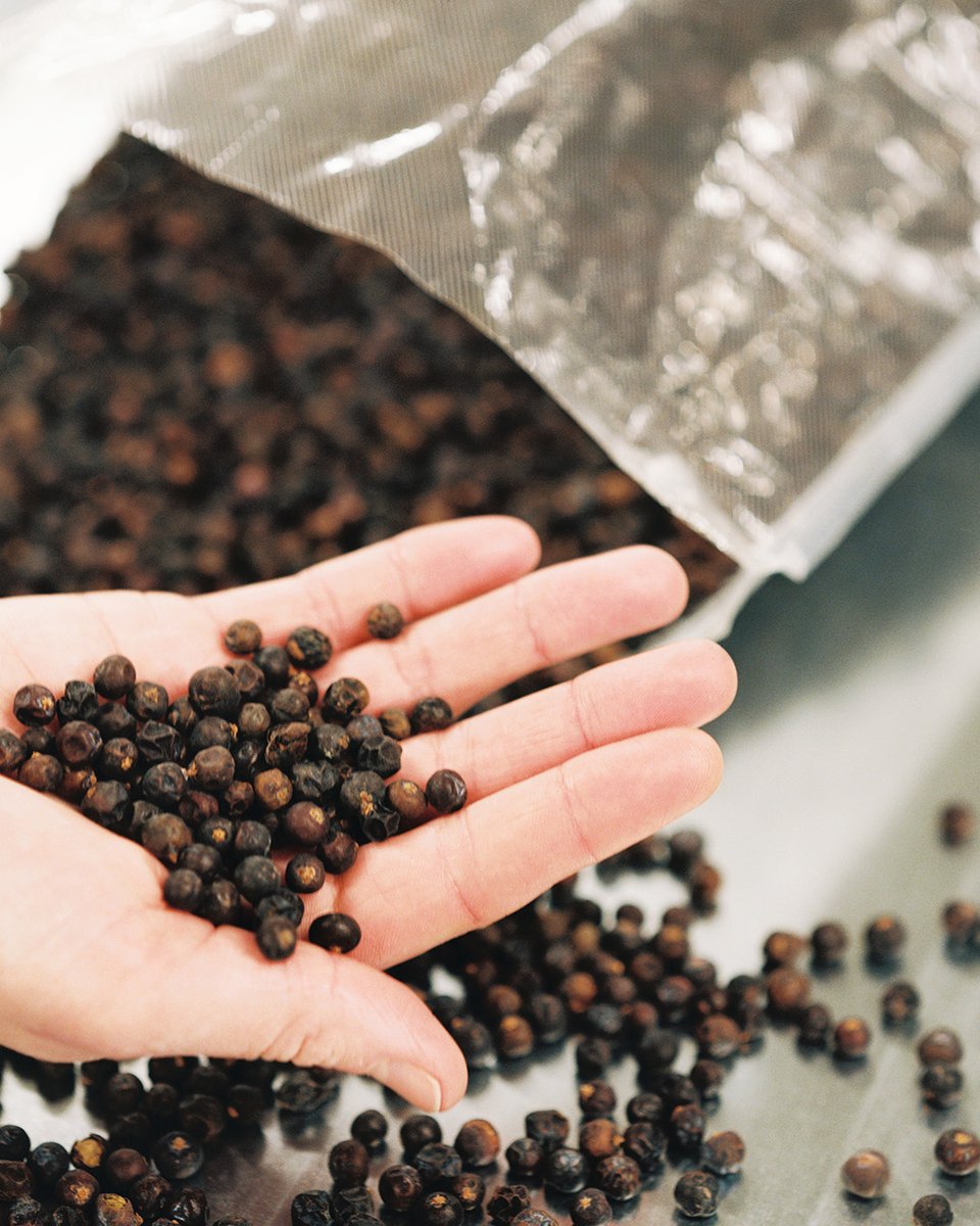 Our gin is made on a foundation of hand-collected Macedonian juniper berries.

#madeintöre #norrbottensdestilleri