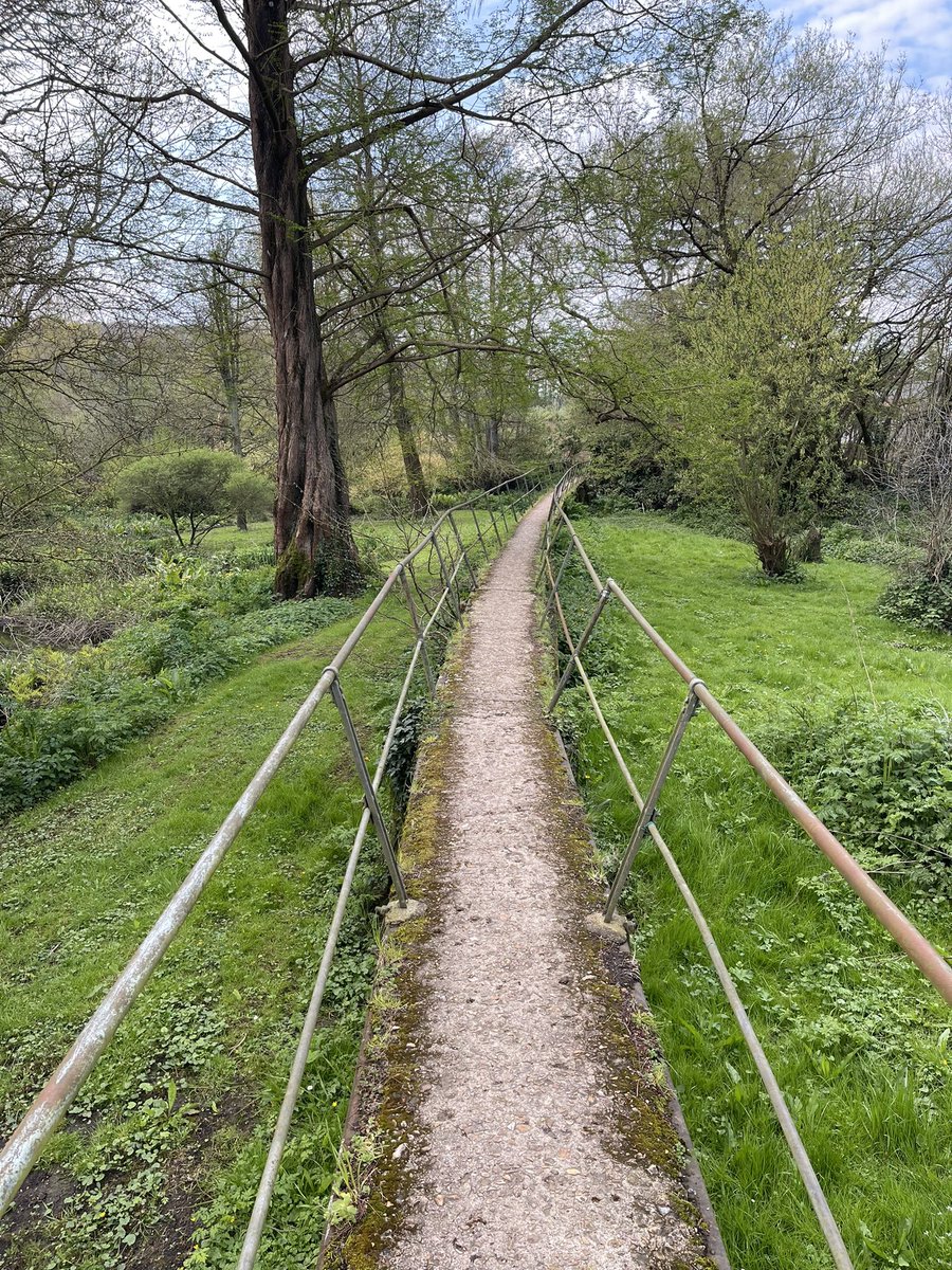 SimonJEvans2's tweet photo. Lovely little walk this morning in Spetisbury and a coffee afterwards in Marcia’s. Great place for a Friday nights drink and a meal with chums. https://t.co/zhv7vNJ6pe