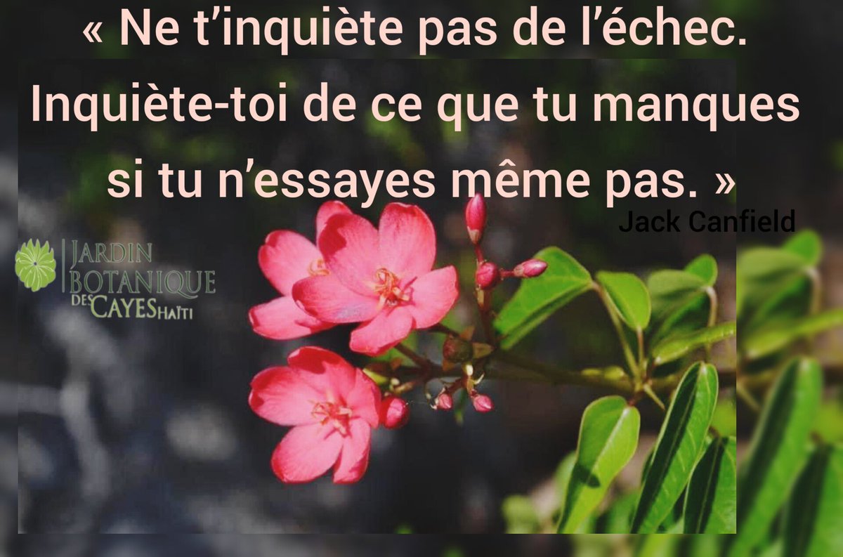 JardinBotaniquecayes tweet media