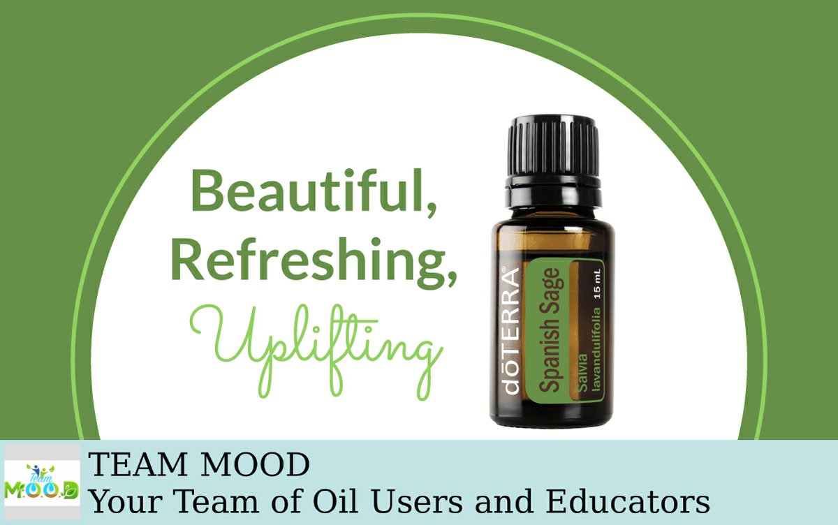 MooreOiled's tweet photo. Welcome Spanish Sage to the doTERRA family! https://t.co/vp7u8o07JN