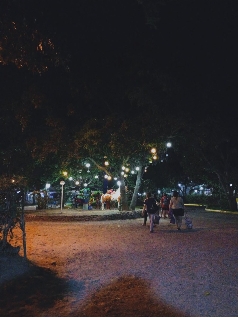 dandelbor tweet picture