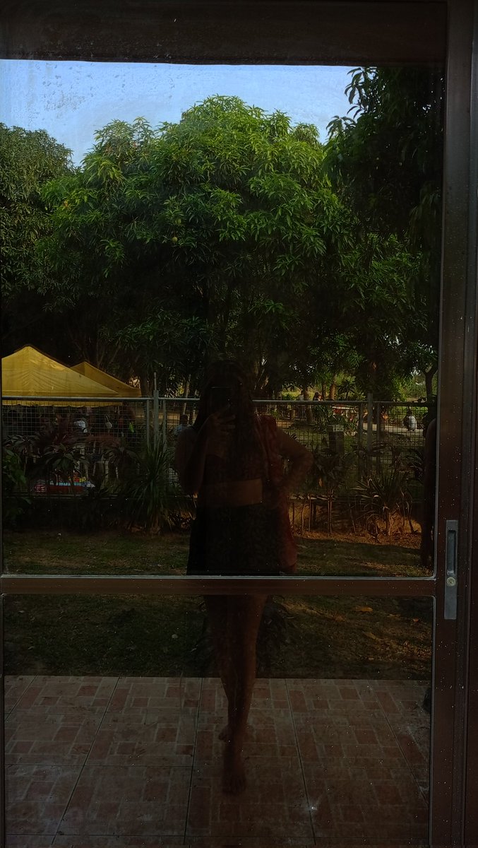 dandelbor tweet picture