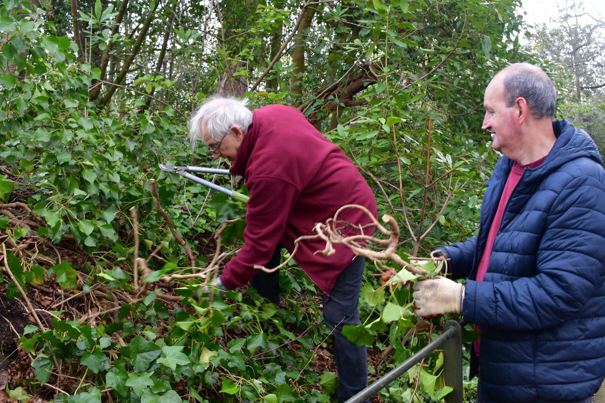 edbarnesjourno's tweet photo. Went to speak to the lovely volunteers the Friends of @BirkenheadPark1 about the work they’re doing to prepare it for “world stage” status after it was announced as one of the sites shortlisted https://t.co/5fdGIgrjHl https://t.co/UPLXEl9K11